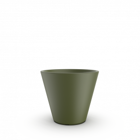 Olive green