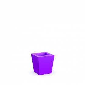 Deep Violet