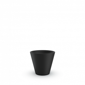 Coal Black