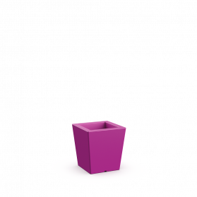 Royal Purple