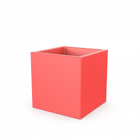 Chili Red