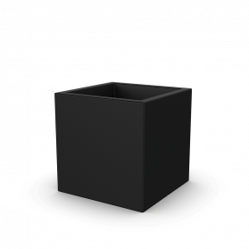 Coal Black