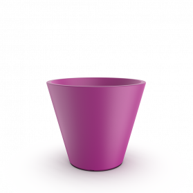 Royal Purple