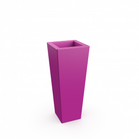 Royal Purple