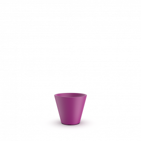 Royal Purple