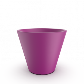Royal Purple