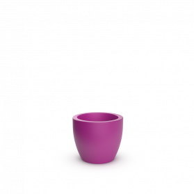 Royal Purple