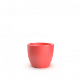 Chili Red
