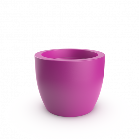 Royal Purple