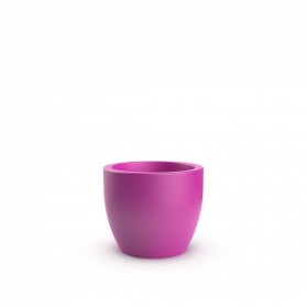 Royal Purple