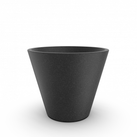 Black Granite