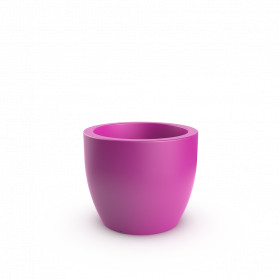 Royal Purple
