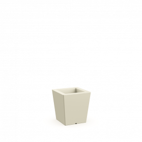 Bone Brown