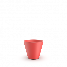 Chili Red