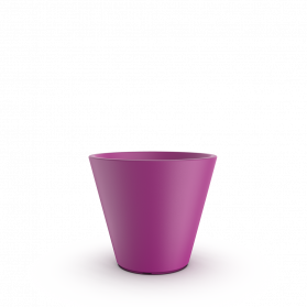 Royal Purple