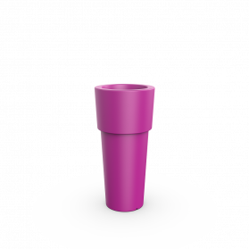 Royal Purple