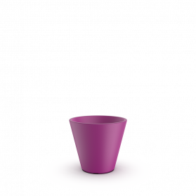 Royal Purple